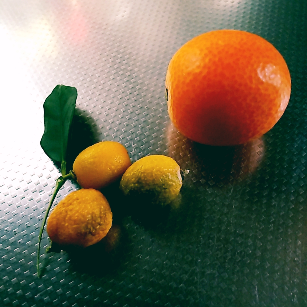 スーパーの金柑と比較