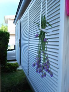 ラベンダーのドライフラワー