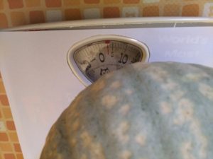 かぼちゃの重さ